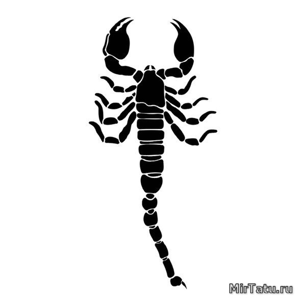 Эскизы татуировок - Скорпион 10