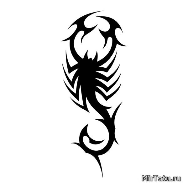 Эскизы татуировок - Скорпион