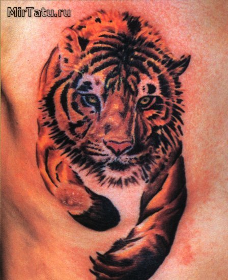 Фото татуировок - Тигр