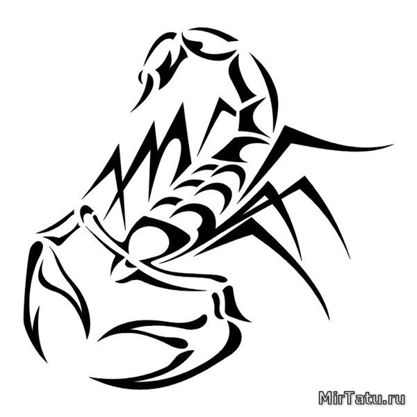 Эскизы татуировок - Скорпион 17