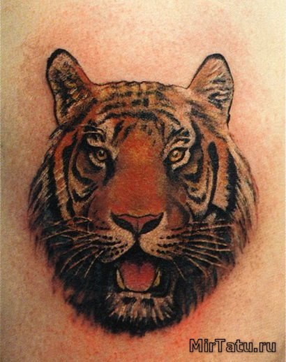 Фото татуировок - Тигр 2