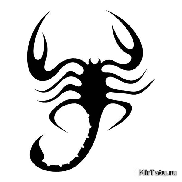 Эскизы татуировок - Скорпион 2