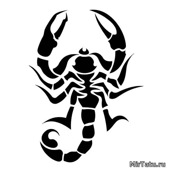 Эскизы татуировок - Скорпион 4