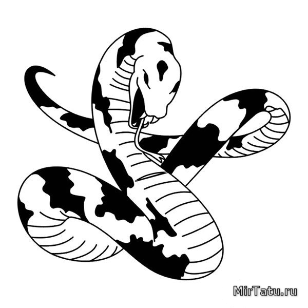 Эскизы татуировок - Змея 4