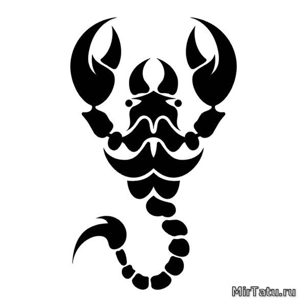 Эскизы татуировок - Скорпион 5