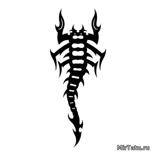 Эскизы татуировок - Скорпион 7