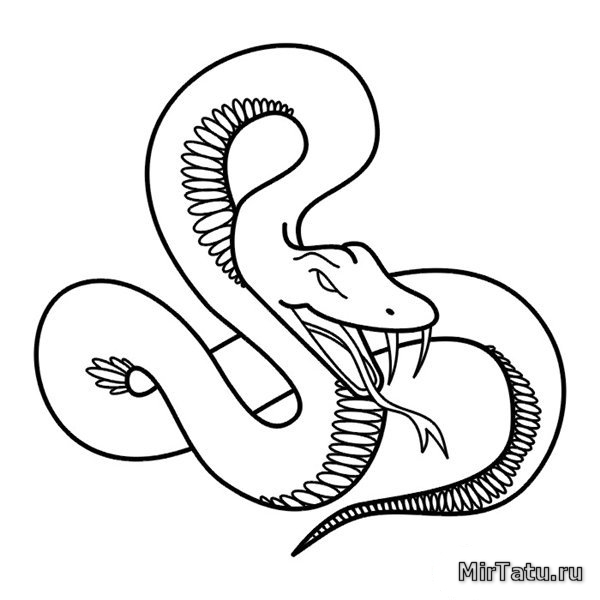 Эскизы татуировок - Змея 7