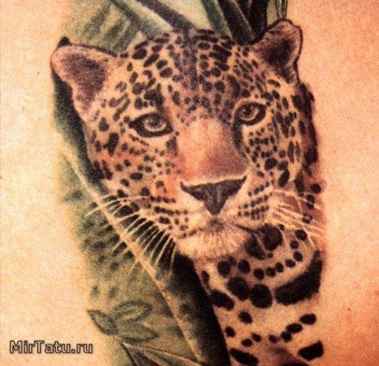 Фото татуировок - Леопард